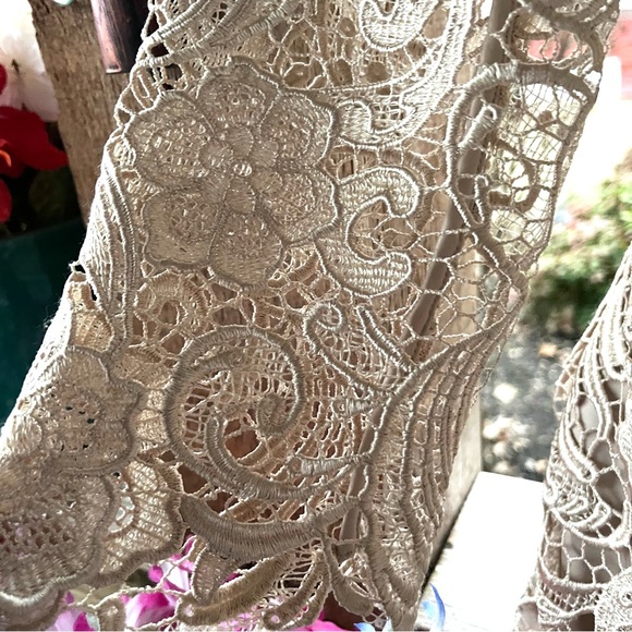 Adrianna Papell Elegant Palest Beige Lace Overlay Back Zip 3/4 Sleeves Dress 10 - Picture 4 of 11